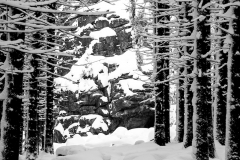 Harz, Winter, Brocke, Brockenbahn, Wernigerode, Schnee, Landschaft, Berg, Aufstieg, Aussicht,