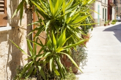 mallorca_tr4vel_wandern_2018_40