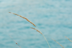 mallorca_tr4vel_wandern_2018_73