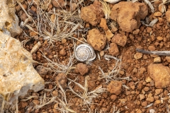 mallorca_tr4vel_wandern_2018_75
