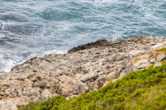 mallorca_tr4vel_wandern_2018_82