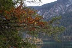 eibsee_wanderung_garmisch_patenkirchen_bayern_gapa_tr4vel_sehenswüdigkeit_60