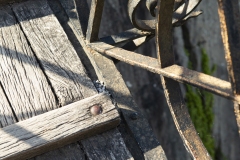 tr4vel_externsteine_2019_bad_meinberg_fotos_06