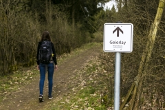 Geierlay Hängeseilbrücke 2018