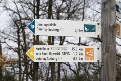 Geierlay Hängeseilbrücke 2018