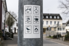 Geierlay Hängeseilbrücke 2018