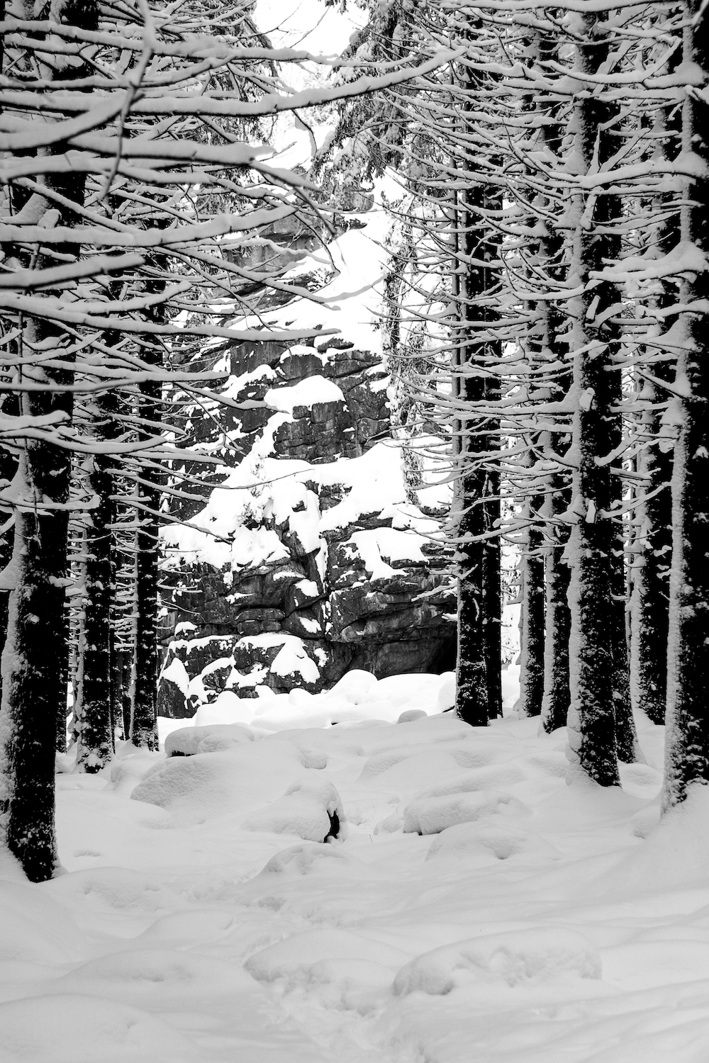Harz, Winter, Brocke, Brockenbahn, Wernigerode, Schnee, Landschaft, Berg, Aufstieg, Aussicht,