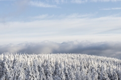 harz_tr4vel_reise_blog_2017_24