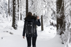 harz_tr4vel_reise_blog_2017_18