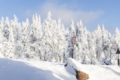 harz_tr4vel_reise_blog_2017_23