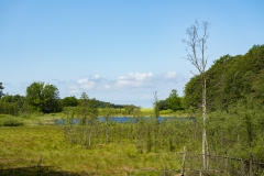 rügen_stralsund_kreidefelsen_2019_tr4vel_20