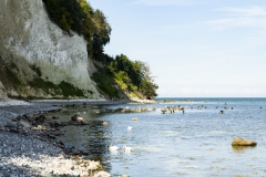 rügen_stralsund_kreidefelsen_2019_tr4vel_25