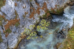 leutascher_geisterklamm_leutaschklamm_garmisch_patenkirchen_2019_bayern_erleben_09