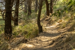 mallorca_tr4vel_wandern_2018_21