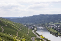 erden_burg_landshut_tr4vel_mosel_09
