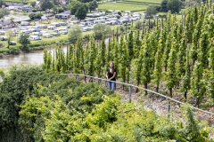 erden_burg_landshut_tr4vel_mosel_22