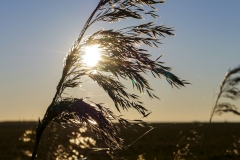 emsland_nordsee_tr4vel_02