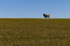 emsland_nordsee_tr4vel_03