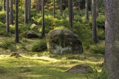 Sächsische Schweiz-13