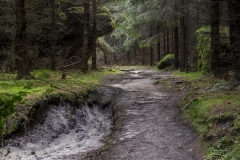 Sächsische Schweiz-17