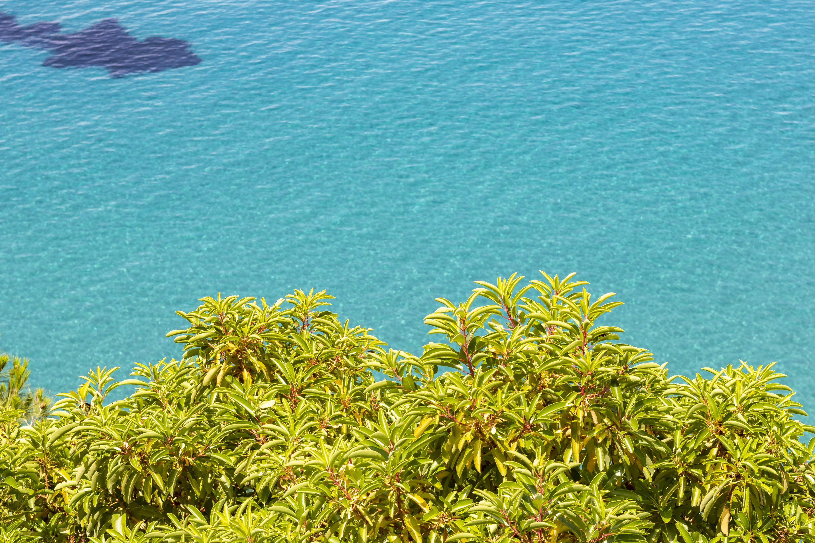 Samos_Urlaub_Seitani_tr4vel.de_36