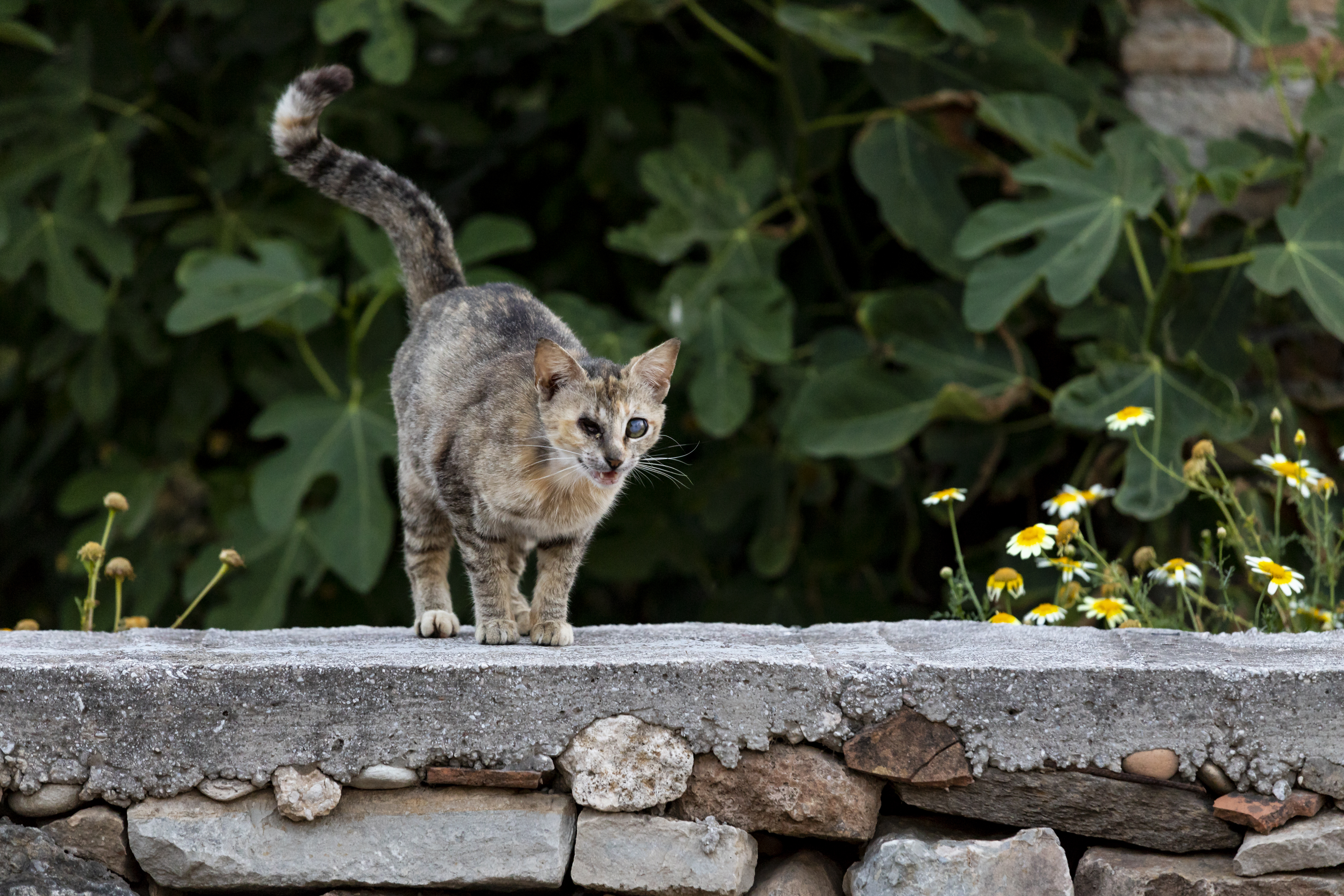 Samos - Griechenland - www.tr4vel.de