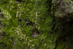 samos_wandern_ampelos_wasserfall_02
