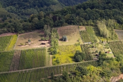 mosel_ehrenburg_cochem_moselschleife_bremm_03