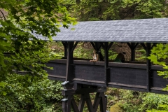 Wanderung in das Naturparkzentrum Teufelsschlucht