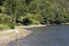 rursee_tr4vel_eifelsteig_partnerweg_wasserlandroute_einruhr_03