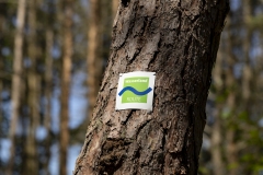 rursee_tr4vel_eifelsteig_partnerweg_wasserlandroute_einruhr_06