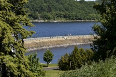 rursee_tr4vel_eifelsteig_partnerweg_wasserlandroute_einruhr_07